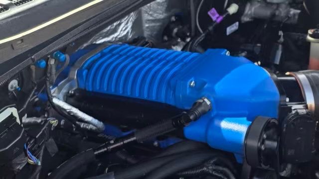 2017 Ford F-150 SHELBY SUPER SNAKE SUPERCHARGED 750HP - 23003247 - 15