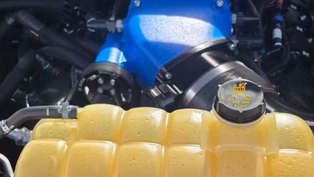 2017 Ford F-150 SHELBY SUPER SNAKE SUPERCHARGED 750HP - 23003247 - 16