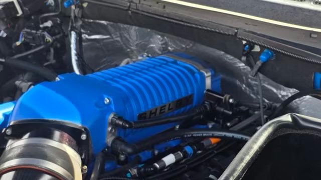 2017 Ford F-150 SHELBY SUPER SNAKE SUPERCHARGED 750HP - 23003247 - 17