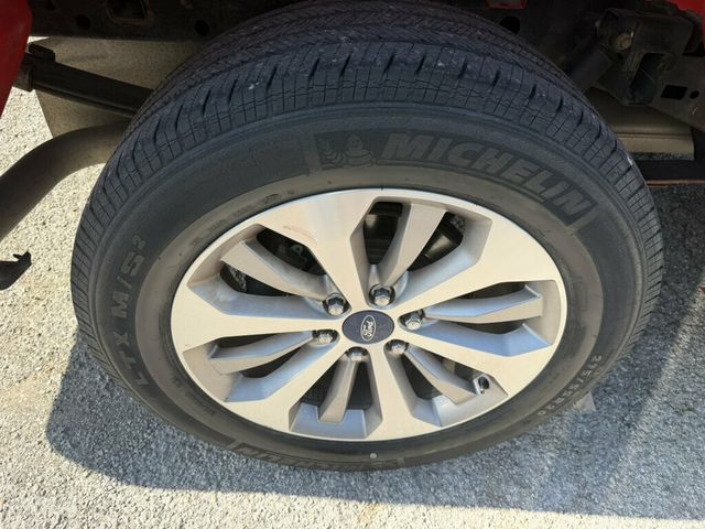 2017 Ford F-150 XL 2WD SuperCrew 6.5' Box - 23097941 - 14