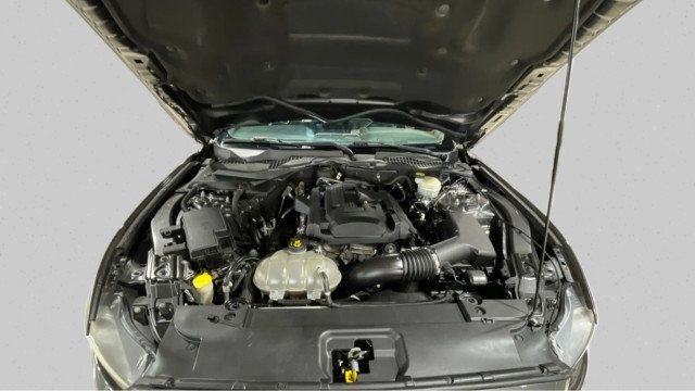2017 Ford Mustang EcoBoost Fastback - 22963266 - 16