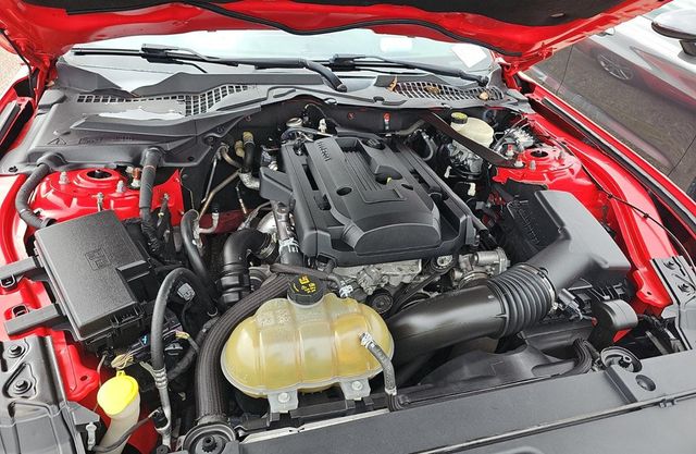 2017 Ford Mustang EcoBoost Premium Convertible - 22989951 - 13