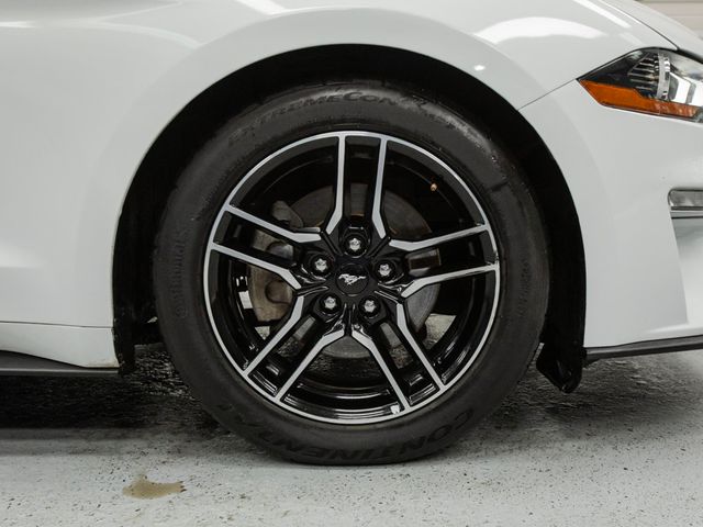 2017 Ford Mustang EcoBoost Premium Fastback - 22976940 - 10