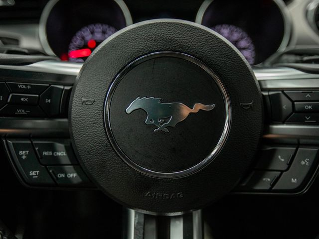 2017 Ford Mustang EcoBoost Premium Fastback - 22976940 - 17