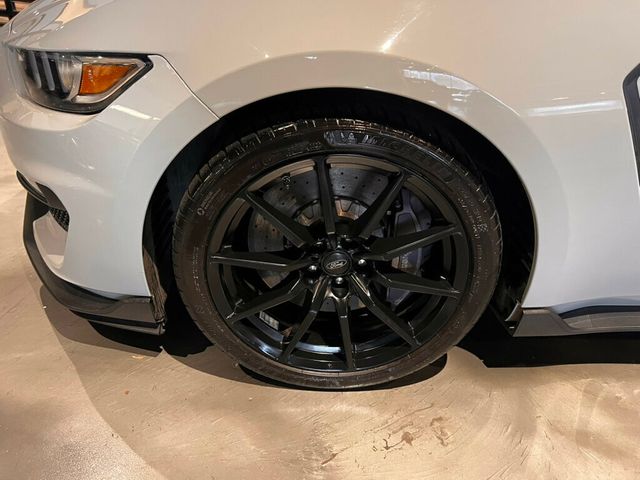 2017 Ford Mustang GT350/6SpeedManual/ElectronicsPkg/RecaroSeats/NAV/ActiveExhaust - 22973101 - 9