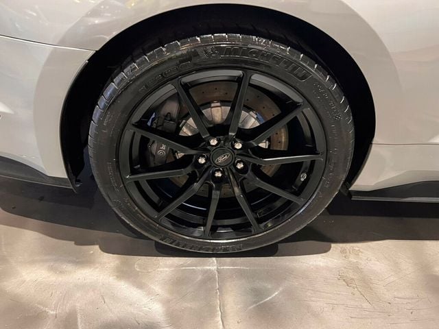 2017 Ford Mustang GT350/6SpeedManual/ElectronicsPkg/RecaroSeats/NAV/ActiveExhaust - 22973101 - 11