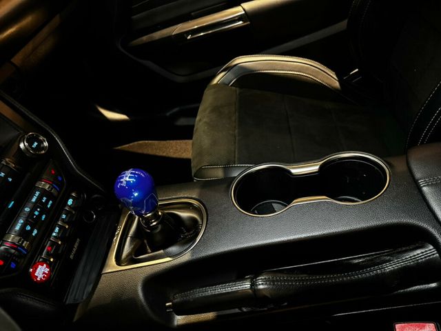 2017 Ford Mustang GT350/ConveniencePkg/Htd&CldSeats/NAV/BremboBrakes/Magneride - 23015400 - 14