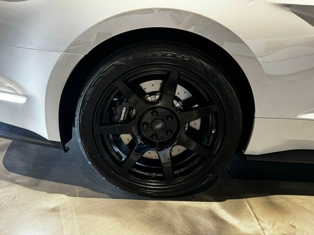 2017 Ford Mustang GT350/ConveniencePkg/Htd&CldSeats/NAV/BremboBrakes/Magneride - 23015400 - 19