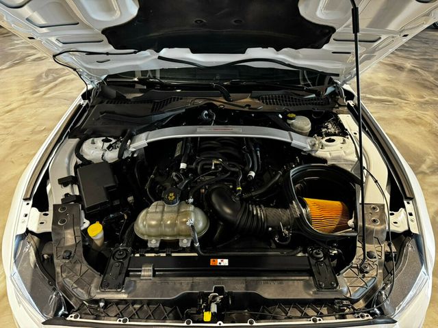 2017 Ford Mustang GT350/ConveniencePkg/Htd&CldSeats/NAV/BremboBrakes/Magneride - 23015400 - 23