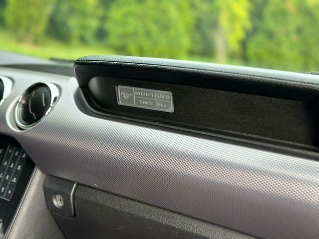 2017 Ford Mustang GT Fastback - 22910873 - 22