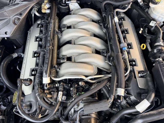 2017 Ford Mustang GT Fastback - 23037727 - 12