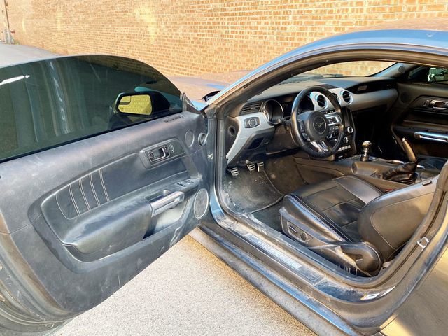 2017 Ford Mustang GT Fastback - 22943378 - 7