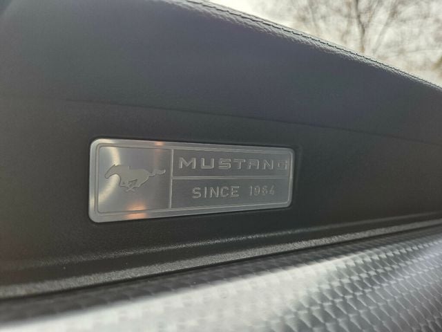 2017 Ford Mustang GT Fastback - 22967187 - 20