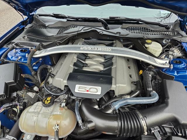 2017 Ford Mustang GT Fastback - 22967187 - 23