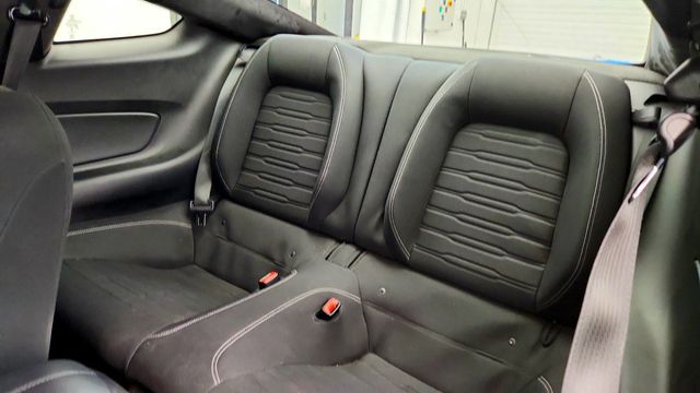 2017 Ford Mustang GT Fastback - 23092451 - 19