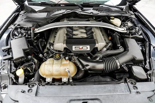 2017 Ford Mustang GT Premium Fastback - 22982812 - 16