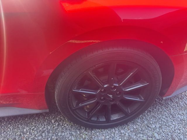 2017 Ford Mustang GT Premium Fastback - 23028288 - 17