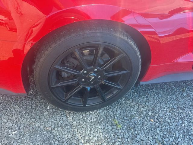 2017 Ford Mustang GT Premium Fastback - 23028288 - 18