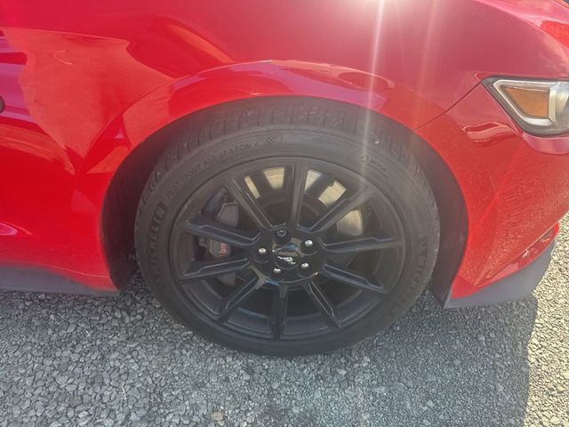 2017 Ford Mustang GT Premium Fastback - 23028288 - 19