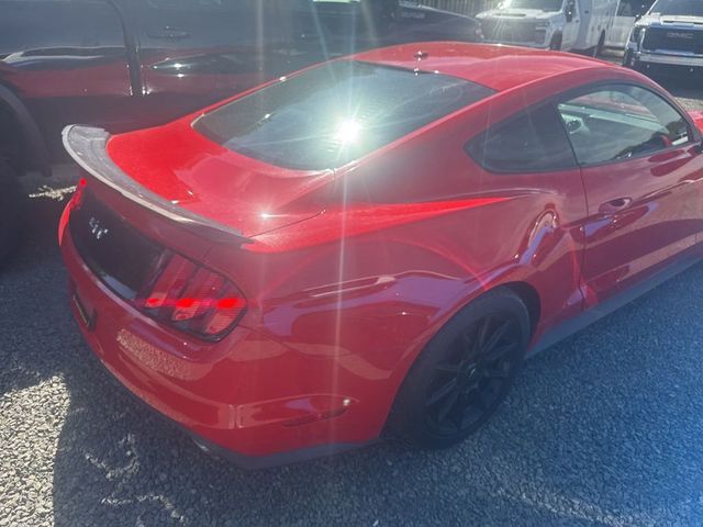 2017 Ford Mustang GT Premium Fastback - 23028288 - 20
