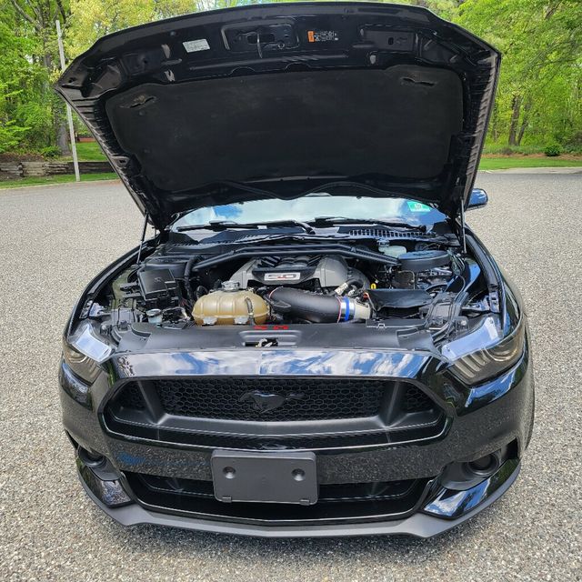 2017 Ford Mustang GT Premium Fastback - 22424240 - 24