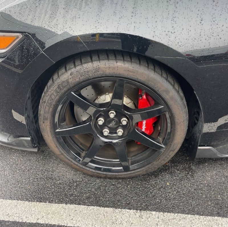 2017 Ford Mustang Shelby GT350R Fastback - 22970444 - 23