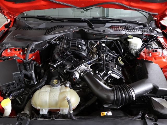 2017 Ford Mustang V6 Fastback - 22956312 - 16