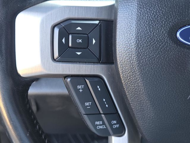 2017 Ford Super Duty F-250 SRW Platinum - 23089152 - 28