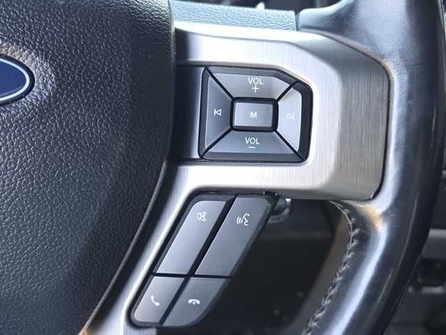 2017 Ford Super Duty F-250 SRW Platinum - 23089152 - 29