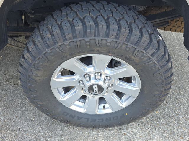 2017 Ford Super Duty F-250 SRW Platinum - 23089152 - 44