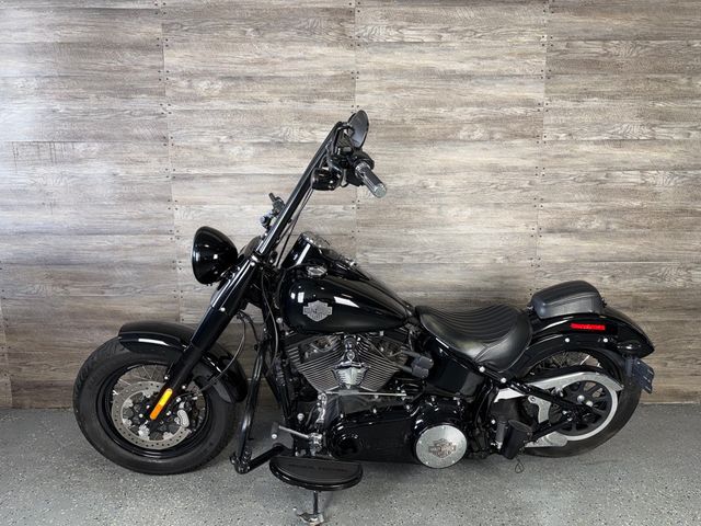 2017 Harley-Davidson FLSS Softail Slim S 110 Screamin' Eagle - 23052377 - 11