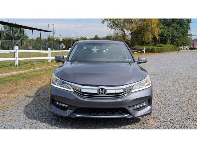 2017 Honda Accord Sedan EX-L V6 Automatic - 22924437 - 1