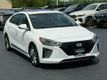 2017 Hyundai Ioniq Hybrid Limited Hatchback - 23028508 - 12
