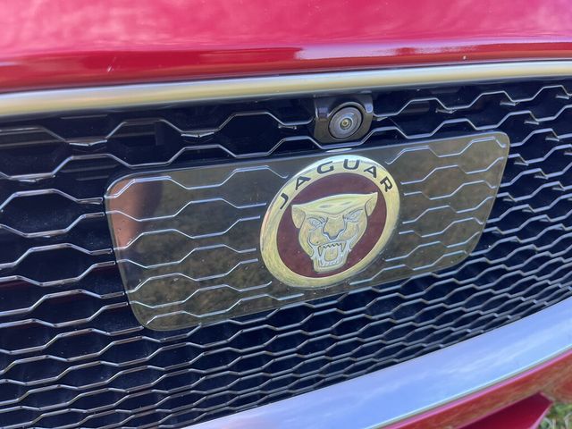 2017 Jaguar XF ONE OWNER - R SPORT -  AWD - 23087199 - 8