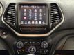 2017 Jeep Cherokee Trailhawk 4x4 4dr SUV - 23056548 - 24