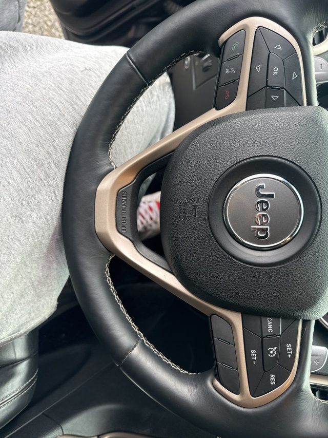 2017 Jeep Grand Cherokee Limited - 22958556 - 20