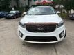2017 Kia Sorento  - 23040315 - 1