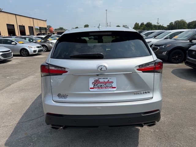 2017 Lexus NX NX Turbo FWD - 23061126 - 4