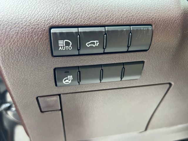 2017 Lexus RX RX 350 AWD - 23061509 - 22