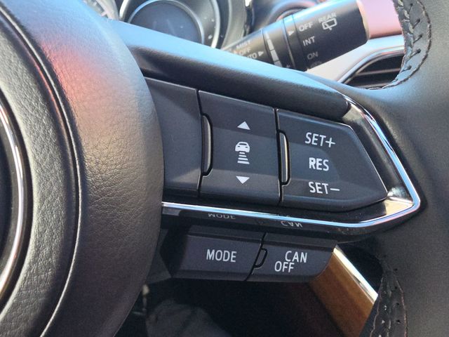 2017 Mazda CX-9 Signature AWD - 23020295 - 32