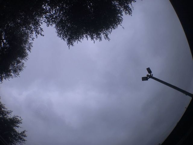 View 19