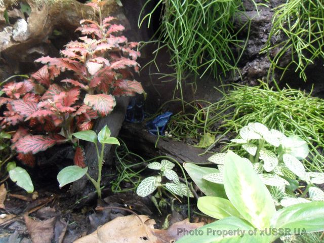 2017 Tesla Model 3 Long Range RWD - 20196206 - 54