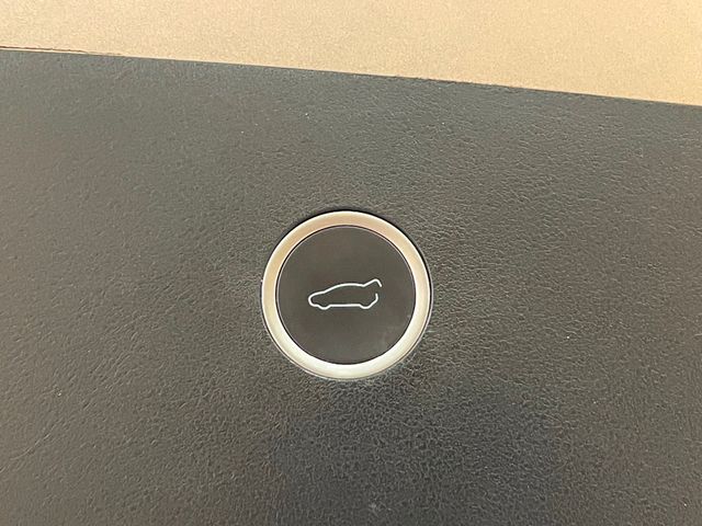 2017 Tesla Model X 100D AWD - 22949151 - 21