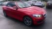 2018 BMW 2 Series 230i - 22574308 - 1