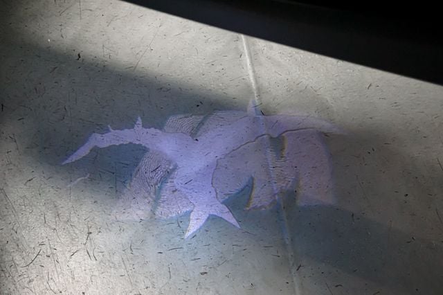 2018 BMW M2 *M2 Coupe* *6-Speed Manual* *Dinan Upgrades* *Full PPF* - 23010806 - 66