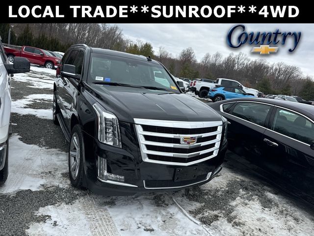 2018 Cadillac Escalade 4WD 4dr Luxury - 22740768 - 0