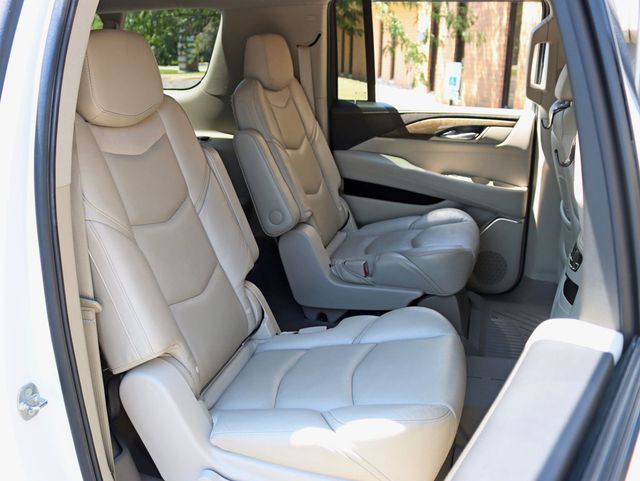 2018 Cadillac Escalade ESV 4WD 4dr Luxury - 23052631 - 25