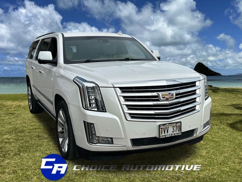 2018 Cadillac Escalade ESV 4WD 4dr Platinum - 22980793 - 9