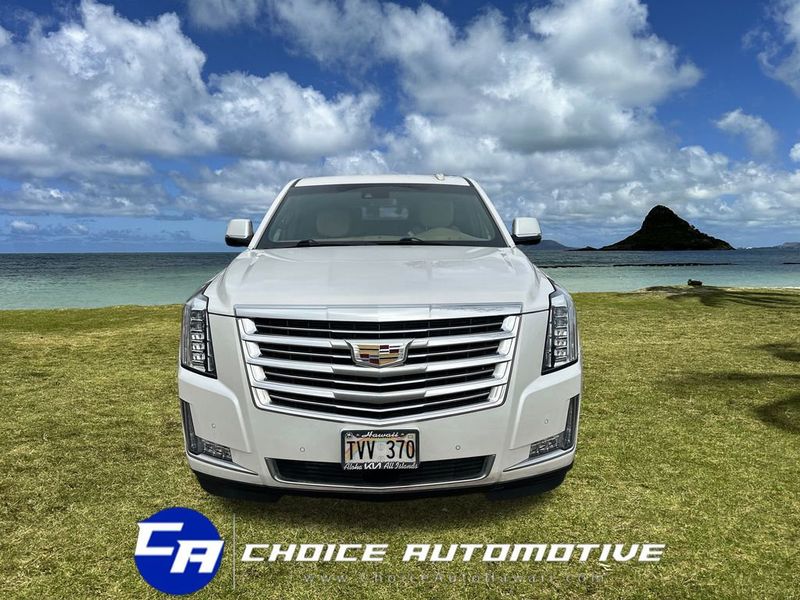 2018 Cadillac Escalade ESV 4WD 4dr Platinum - 22980793 - 10