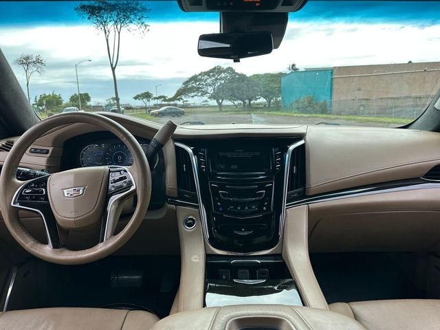 2018 Cadillac Escalade ESV 4WD 4dr Platinum - 22980793 - 13